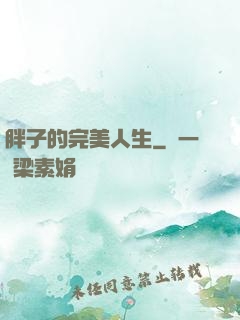胖子的完美人生